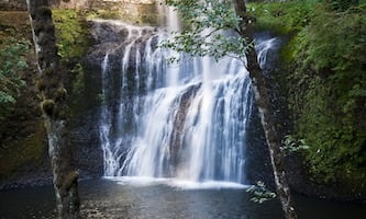 A waterfall with trees in the background Description automatically generated