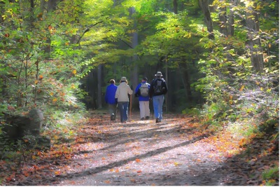 A group of people walking on a path in the woods